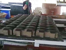 免燒植草磚生產現場